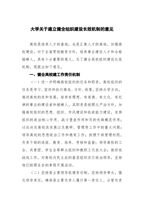 大学关于建立健全党的组织建设长效机制的意见