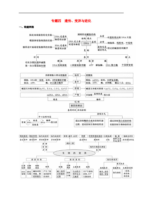 湖南省新田县第一中学高三生物二轮复习 专题四 遗传、变异与进化