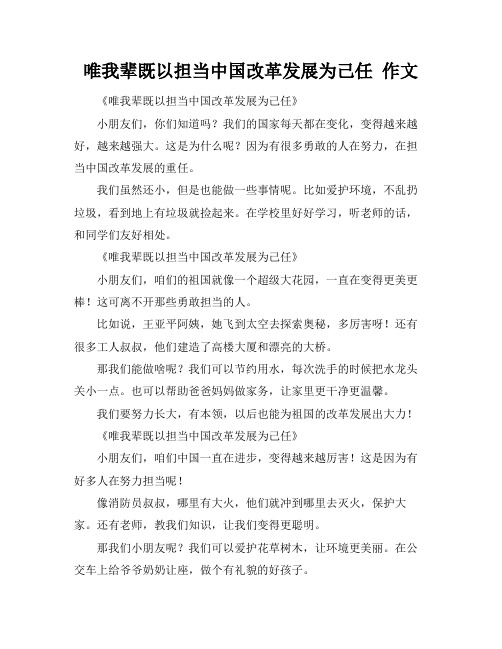 唯我辈既以担当中国改革发展为己任 作文