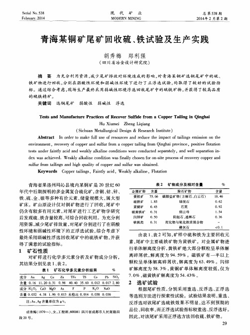 青海某铜矿尾矿回收硫、铁试验及生产实践