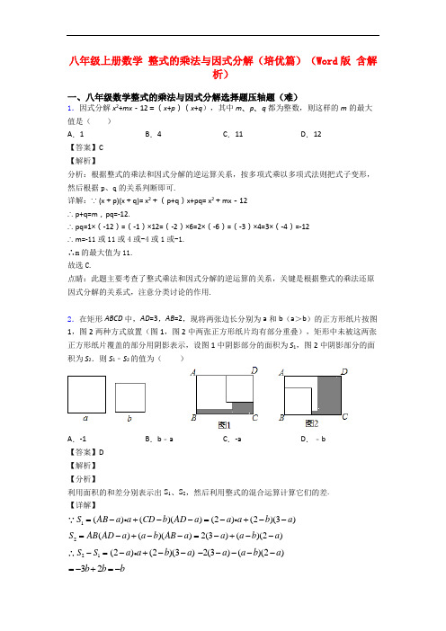 八年级上册数学 整式的乘法与因式分解(培优篇)(Word版 含解析)