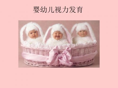 婴幼儿视力发育 PPT课件