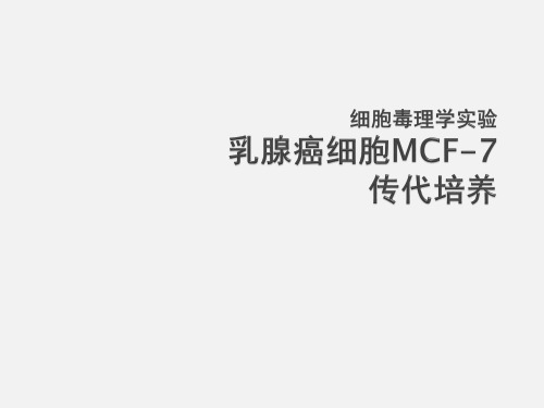 细胞毒理学实验二乳腺癌细胞MCF-7传代培养