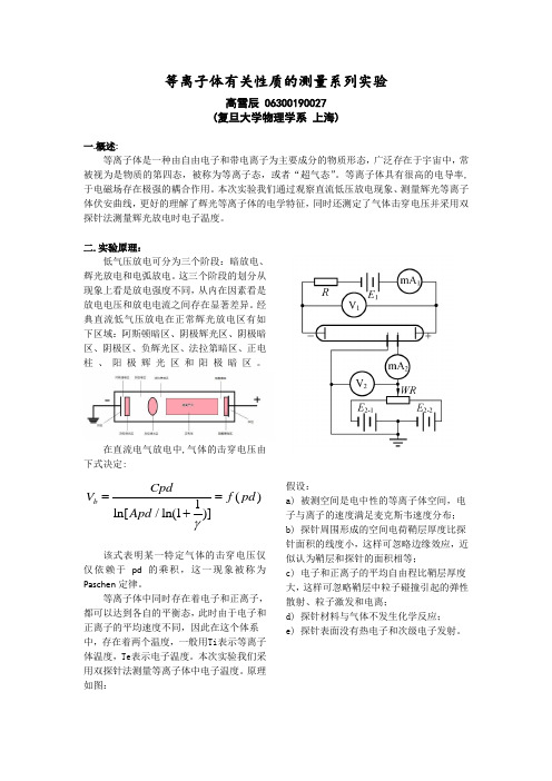 高雪辰-复旦大学物理教学中心