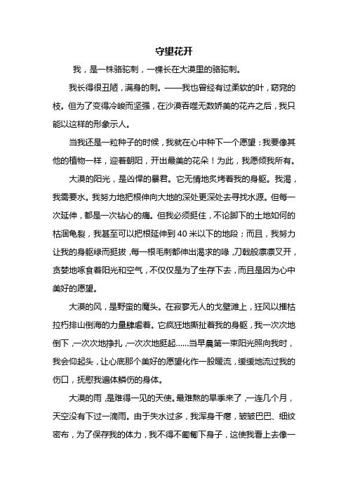 初三作文:守望花开作文800字