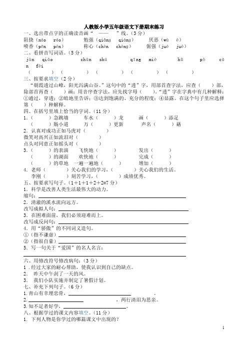 人教新课标语文五年级下学期期末测试卷9(含答案)