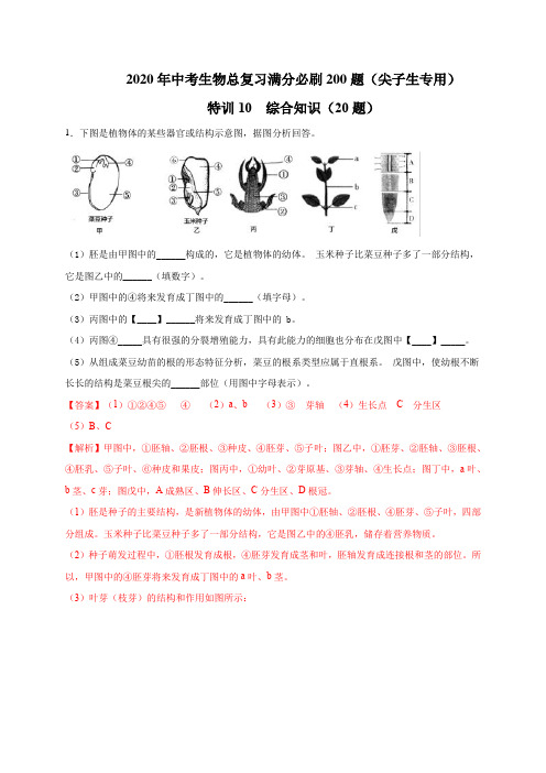 特训10 综合知识(20题)-2020年中考生物总复习满分必刷200题(尖子生专用)(解析版)