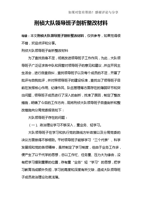 刑侦大队领导班子剖析整改材料