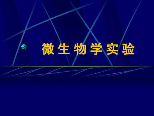 微生物学实验-1 口腔微生物的染色观察与显微镜油镜的使用;细菌的革兰氏染色