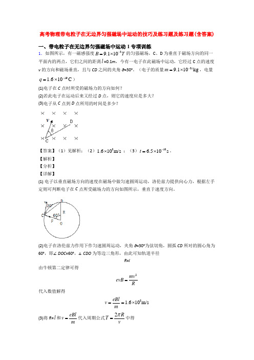 高考物理带电粒子在无边界匀强磁场中运动的技巧及练习题及练习题(含答案)