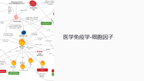 医学免疫学-细胞因子