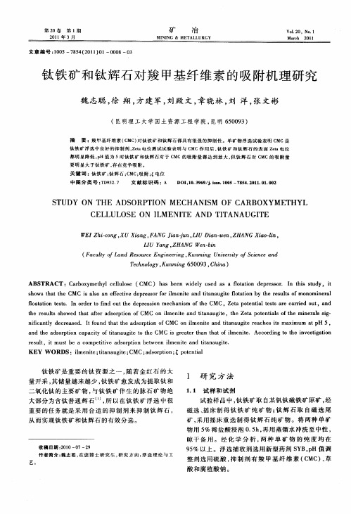 钛铁矿和钛辉石对羧甲基纤维素的吸附机理研究