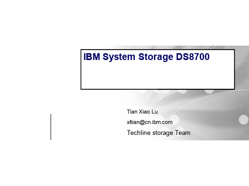 IBM DS8700 磁盘阵列产品介绍