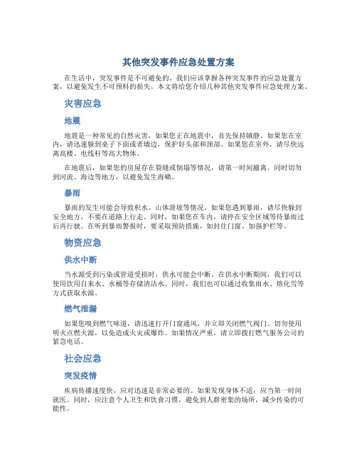 其他突发事件应急处置方案