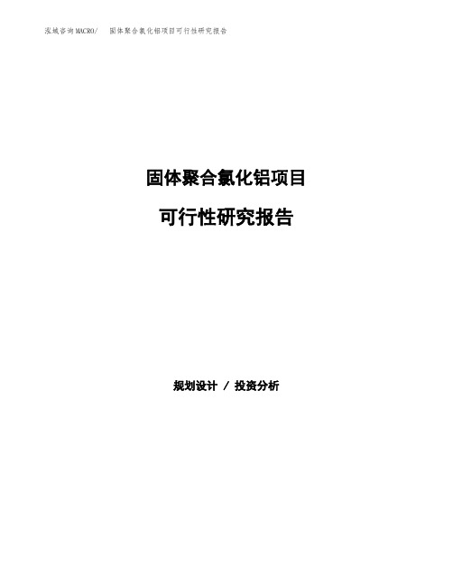 固体聚合氯化铝项目可行性研究报告(立项备案下载可编辑)