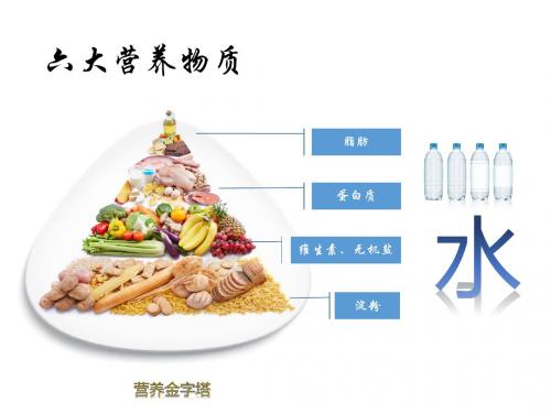 六年级上册科学第1单元 3食物的消化