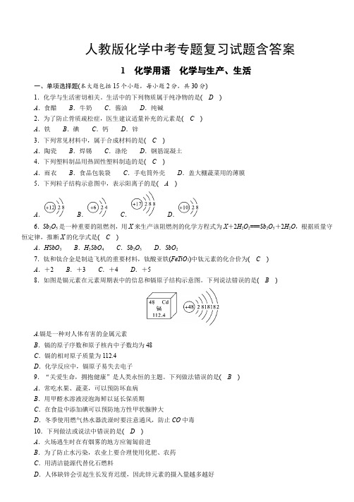 人教版化学中考专题复习试题含答案