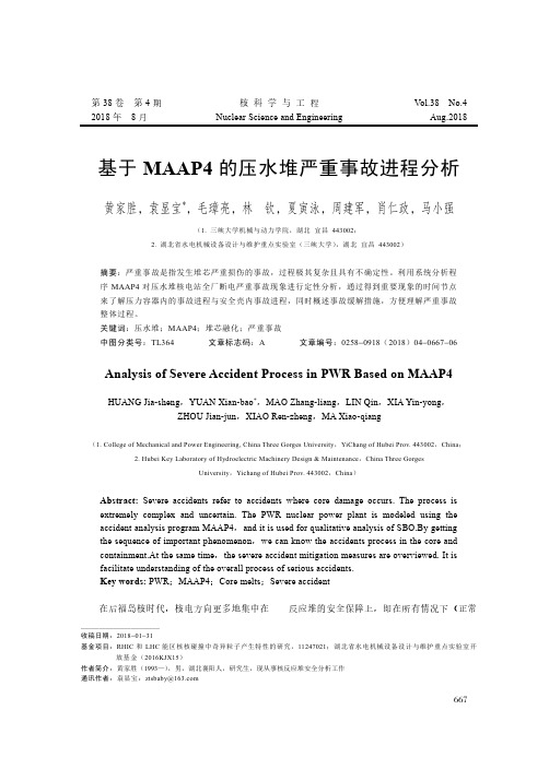 基于MAAP4的压水堆严重事故进程分析