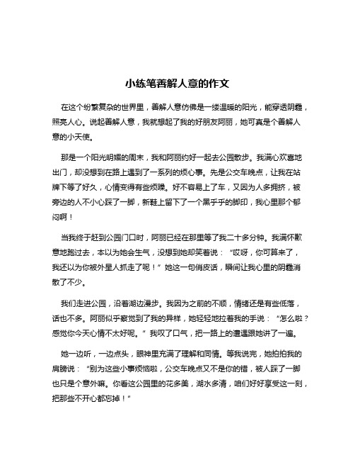 小练笔善解人意的作文