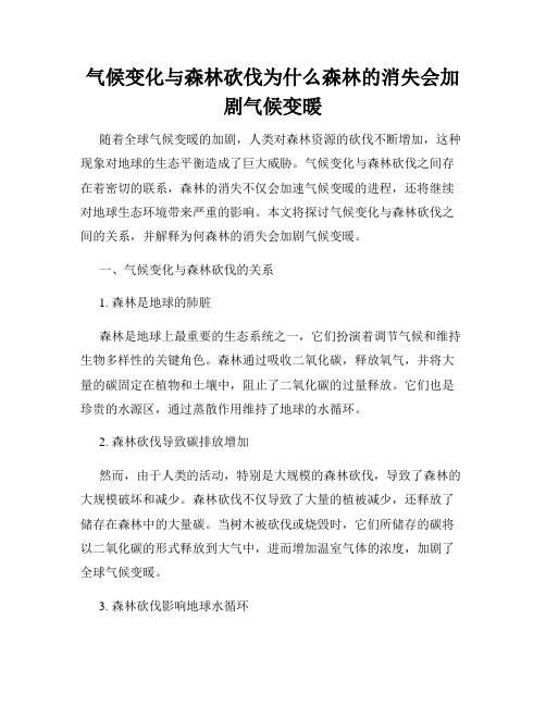 气候变化与森林砍伐为什么森林的消失会加剧气候变暖