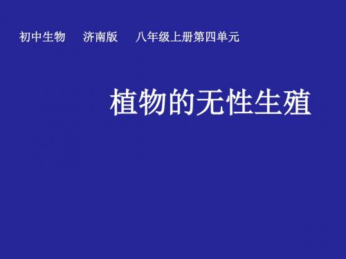 济南版生物八年级上册第四单元第一章第7节 植物的无性生殖(共38张PPT)