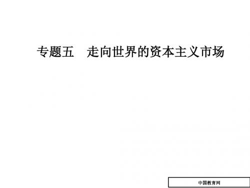 高中历史高一必修二人民版课件：专题五二血与火的征服与掠夺