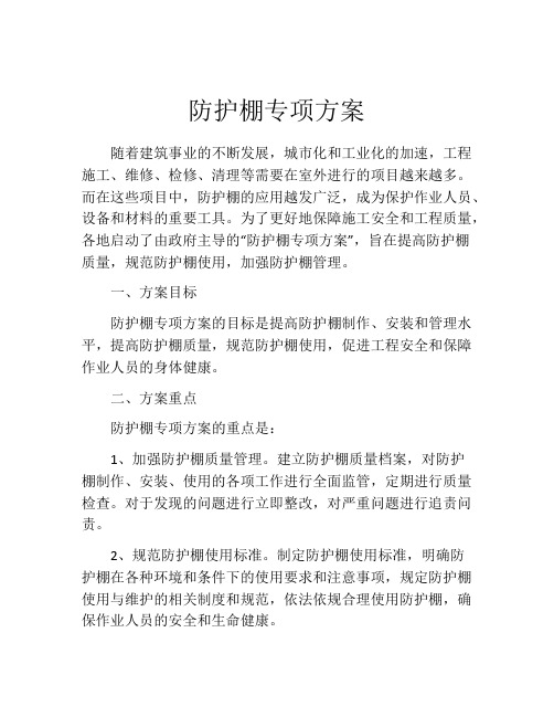 防护棚专项方案