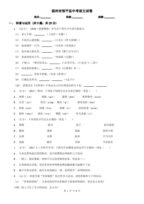 滨州市邹平县中考语文试卷