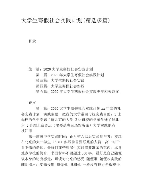 大学生寒假社会实践计划(精选多篇)