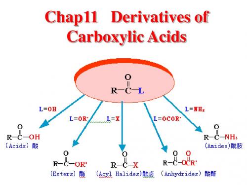 第十一章 羧酸衍生物
