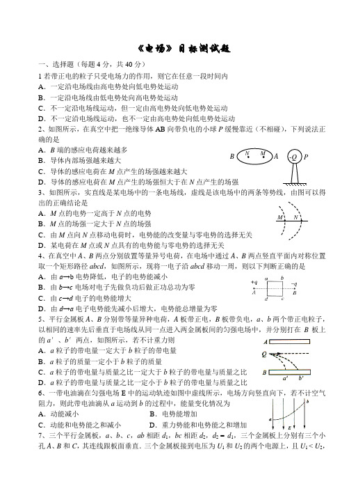 电场目标测试