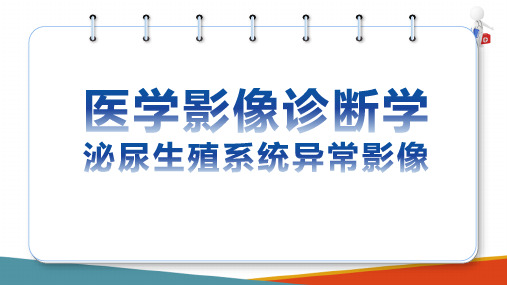 泌尿生殖系统影像诊断 基本病变影像学表现 泌尿生殖系统基本病变表现