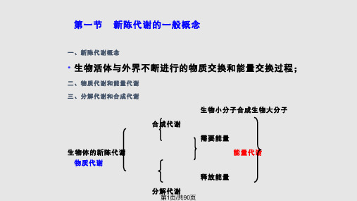 第五章糖代谢PPT课件