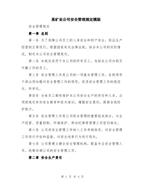 某矿业公司安全管理规定模版