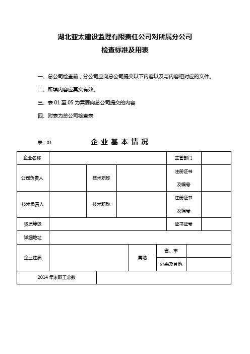 分公司检查标准及用表