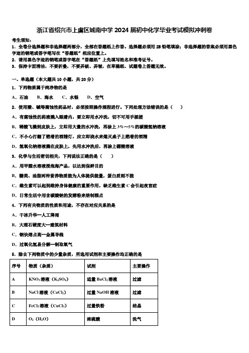 浙江省绍兴市上虞区城南中学2024届初中化学毕业考试模拟冲刺卷含解析