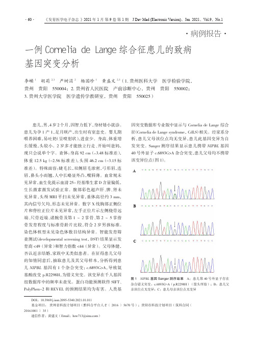 一例Cornelia de Lange综合征患儿的致病基因突变分析