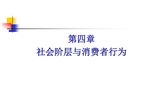第四章社会阶层与消费者行为