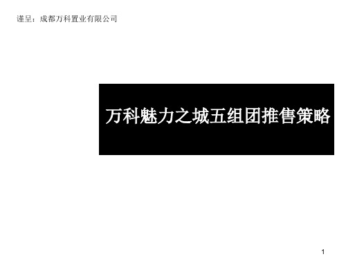 万科魅力之城五组团推售策略-31PPTPPT资料32页