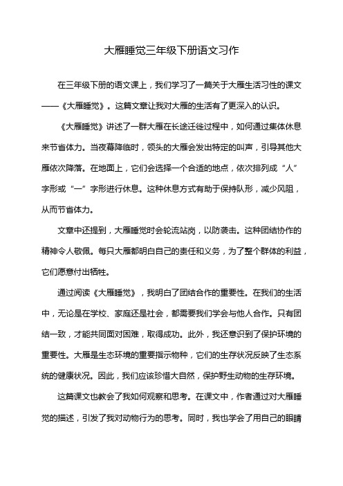 大雁睡觉三年级下册语文习作