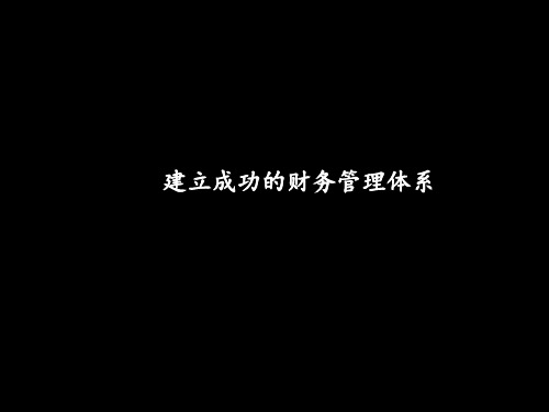 财务管理-(简体)076麦肯锡--联想报告-建立成功的财务管理体系 精品
