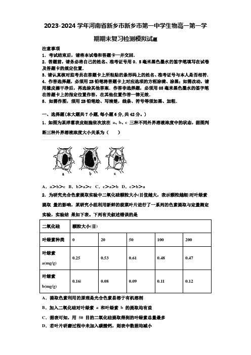 2023-2024学年河南省新乡市新乡市第一中学生物高一第一学期期末复习检测模拟试题含解析