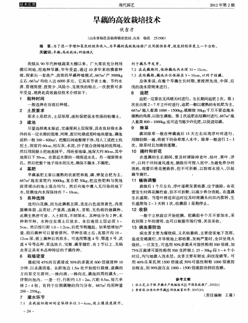 旱藕的高效栽培技术