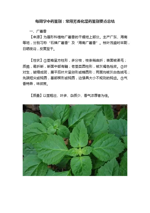 每周学中药鉴别：常用芳香化湿药鉴别要点总结