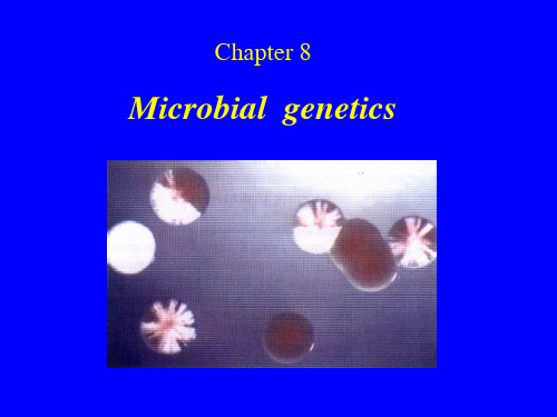 Chapter 8 Microbial  genetics  微生物学 教学课件 英文版