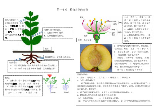 粤教版小学科学五年级上册期末复习知识点归纳1