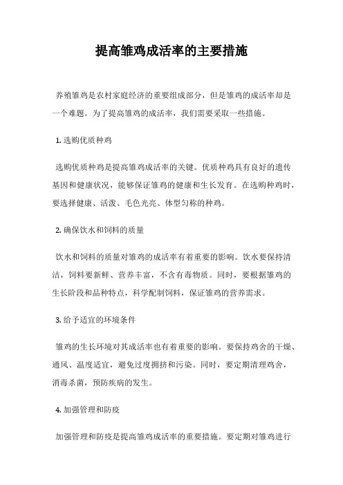 提高雏鸡成活率的主要措施