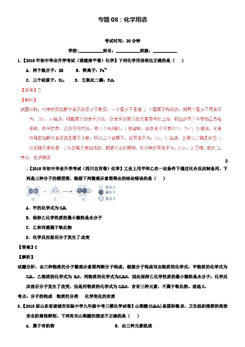 中考化学测试系列专题08 化学用语(含解析)