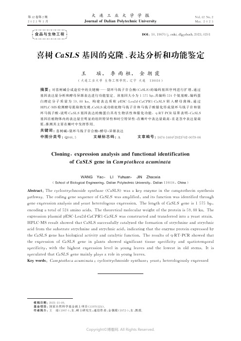 喜树CaSLS_基因的克隆、表达分析和功能鉴定