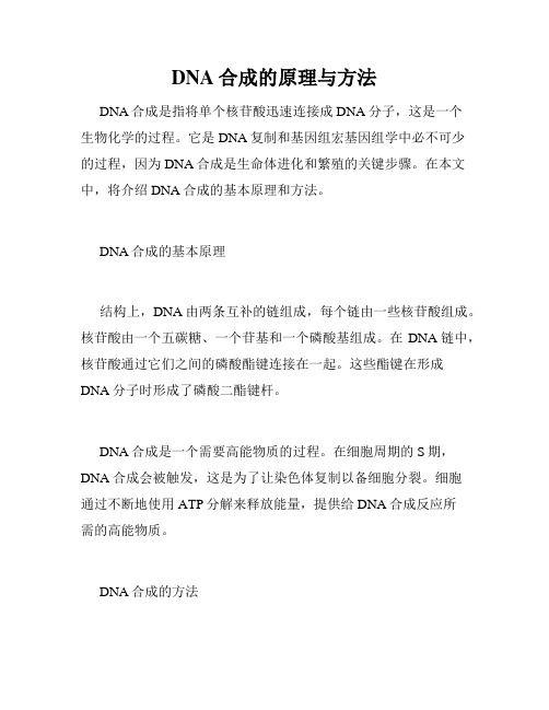 DNA合成的原理与方法